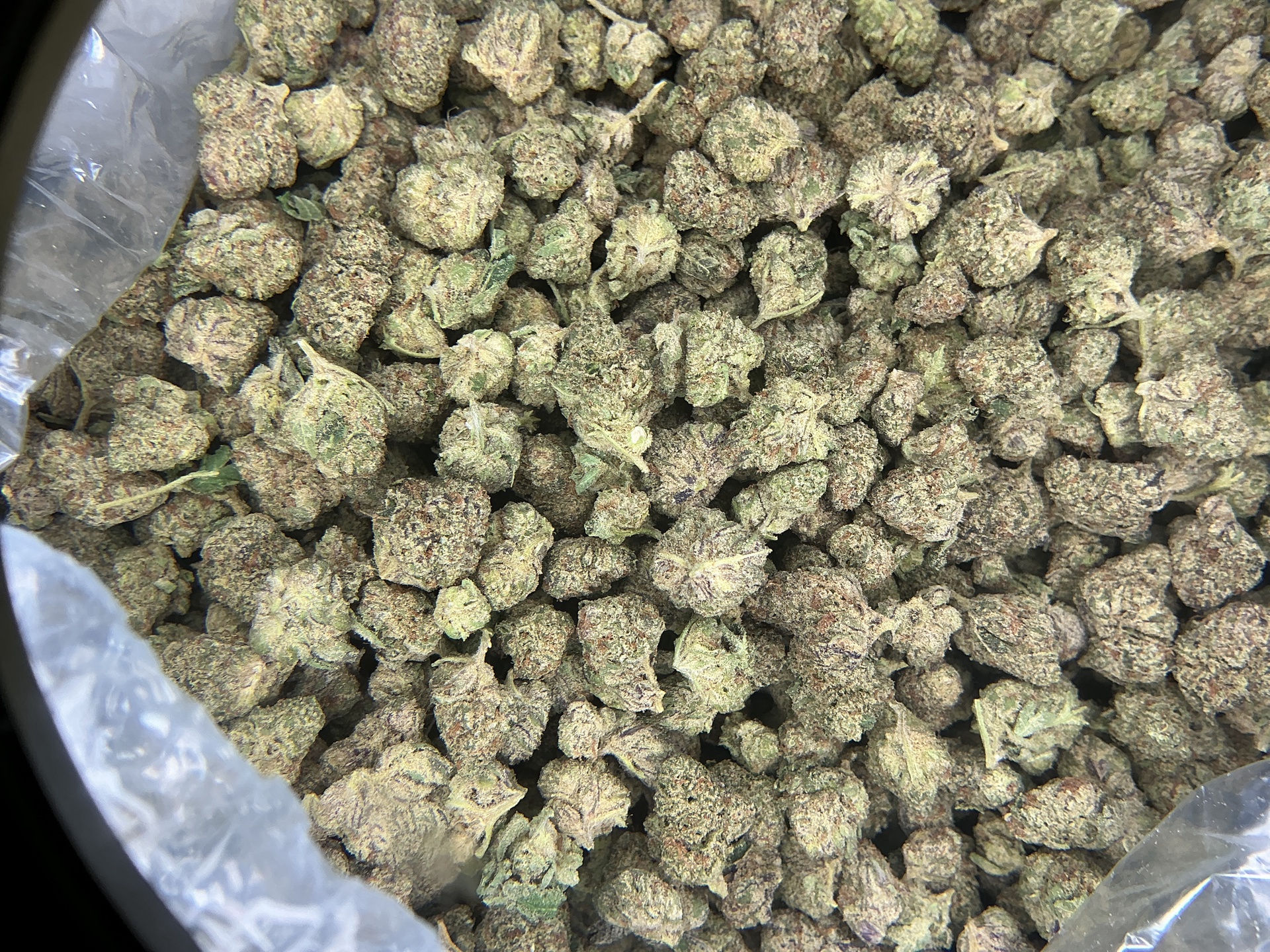 White Runtz Smalls THCa Flower / 3.5 Grams (1/8th)